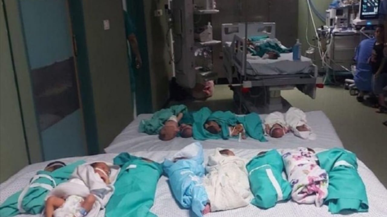 OBSH: Spitali Al-Shifa i Gazës, një zonë vdekjeje! Kërkohet evakuimi urgjent i pacientëve
